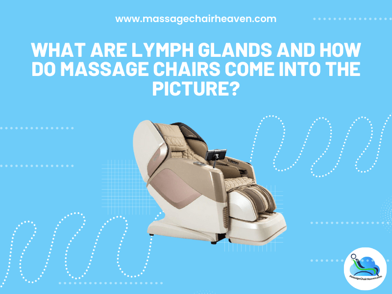 ¿Qué son los ganglios linfáticos y cómo funcionan las sillas de masaje?